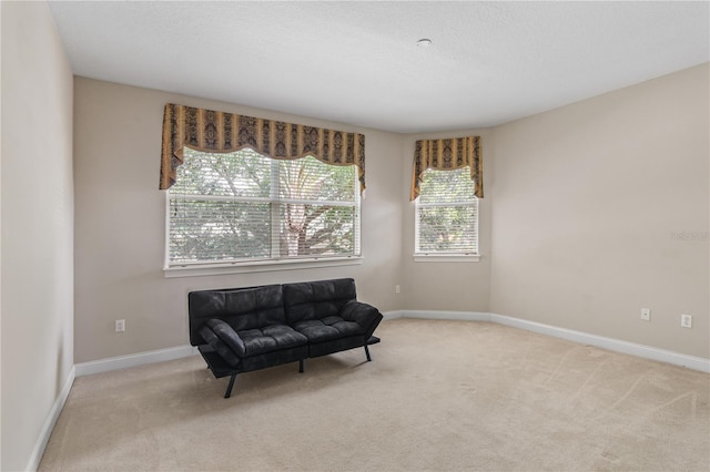 sitting room featuring light carpet