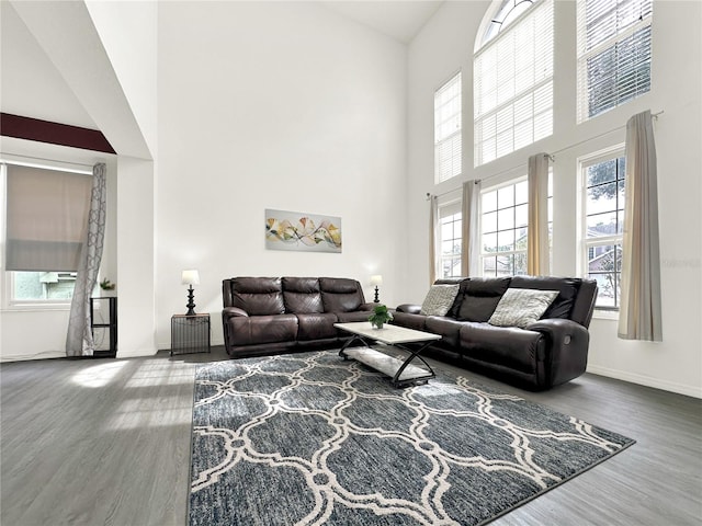 living room featuring hardwood / wood-style flooring and a towering ceiling