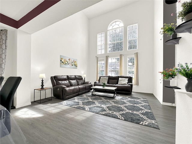 living room with hardwood / wood-style floors and a high ceiling