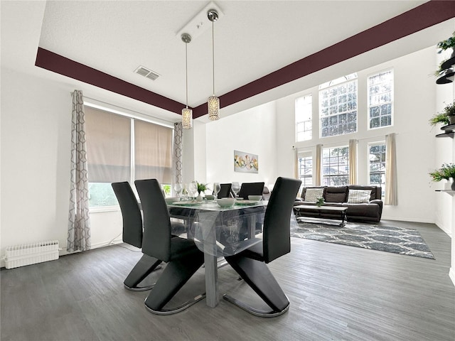 dining area featuring dark wood-type flooring and a towering ceiling