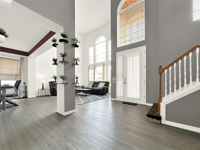 entryway with hardwood / wood-style floors and a high ceiling