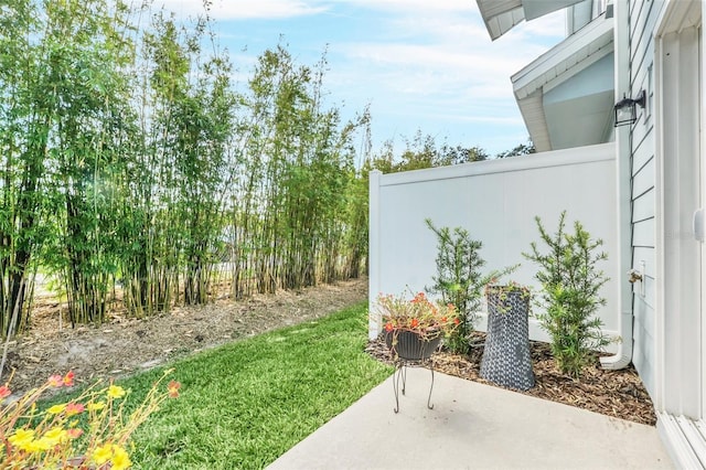 view of yard with a patio