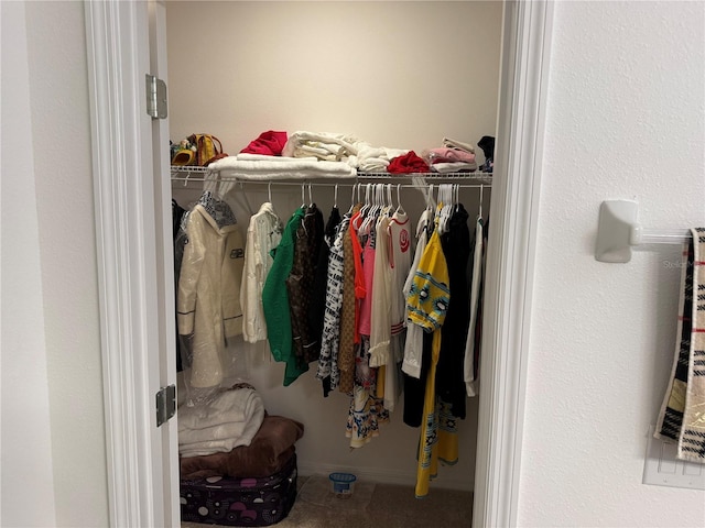 view of walk in closet