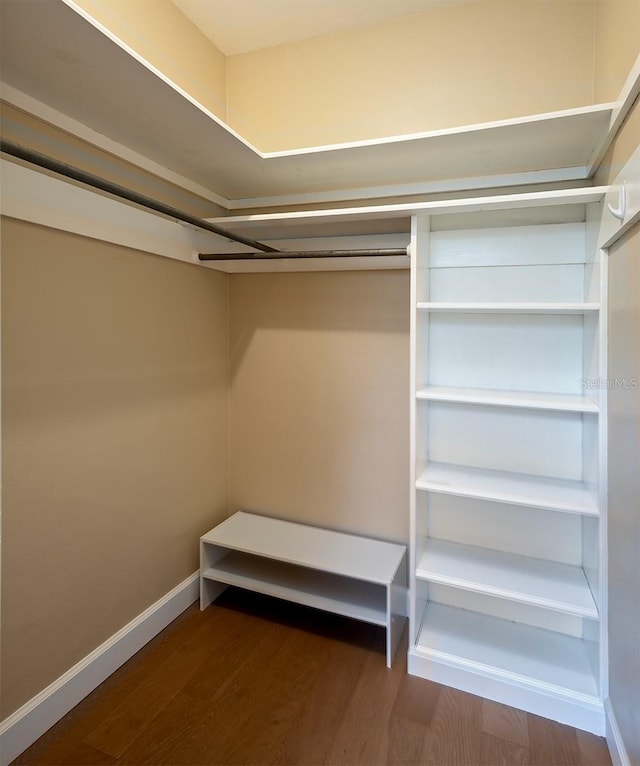 spacious closet with hardwood / wood-style flooring