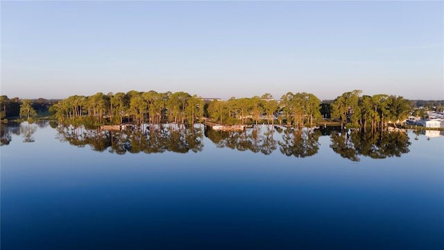 property view of water