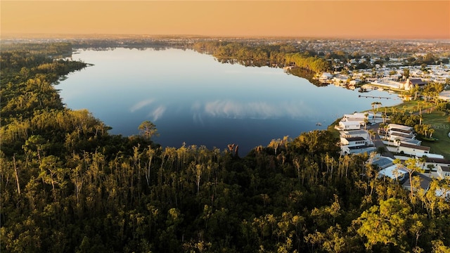 aerial view at dusk featuring a water view