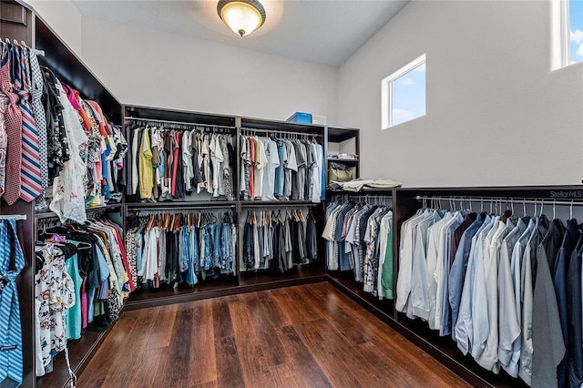 spacious closet featuring hardwood / wood-style flooring