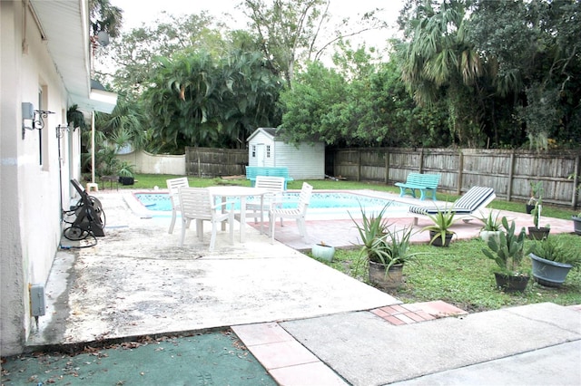 view of pool featuring a patio and a storage shed