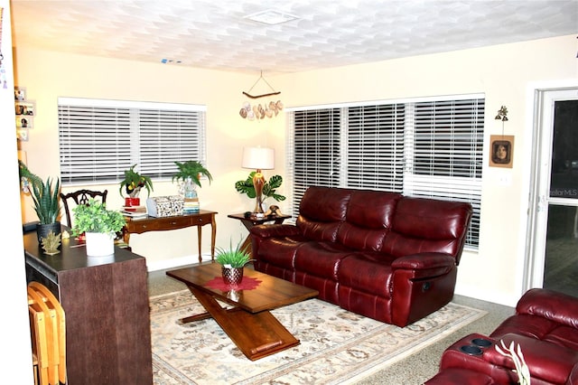 living room featuring a textured ceiling and carpet floors