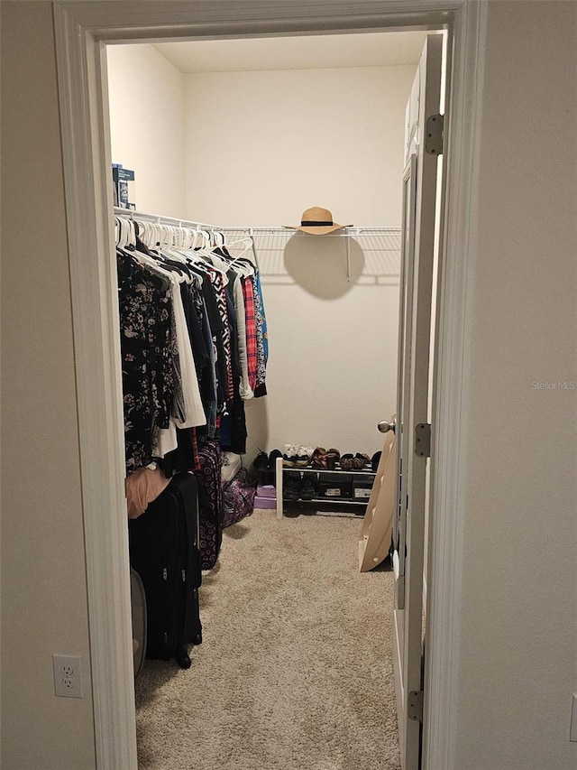 spacious closet with carpet floors