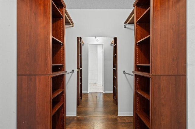 walk in closet featuring dark hardwood / wood-style floors