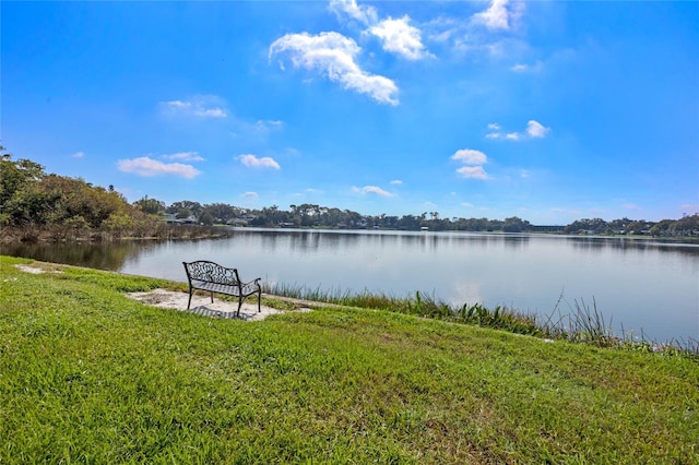 dock area featuring a water view and a lawn