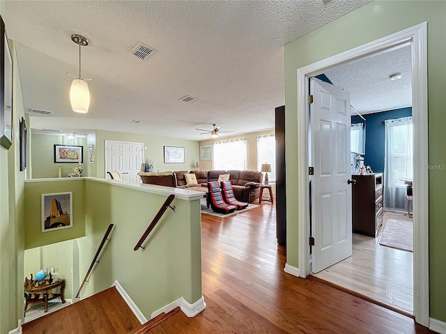 hallway with a textured ceiling and hardwood / wood-style flooring