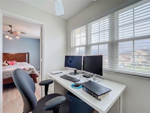 office featuring hardwood / wood-style floors, ceiling fan, and a textured ceiling