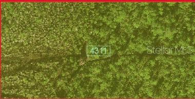 Listing photo 3 for 0 Holopaw Groves Rd, Saint Cloud FL 34771