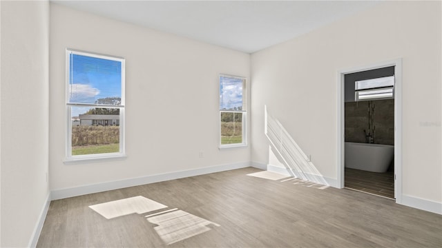 empty room with light hardwood / wood-style floors