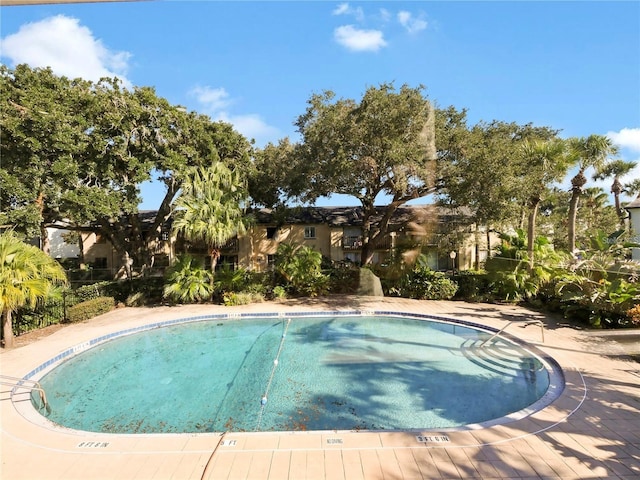 view of swimming pool