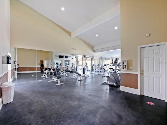 exercise room featuring high vaulted ceiling