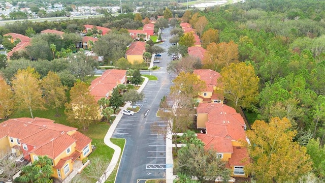 8447 Crystal Cove Loop, Kissimmee, FL 34747 - aerial view of residential area