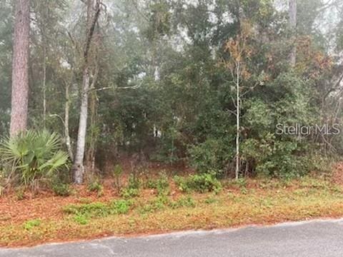 0 SE 99th Ave, Belleview FL, 34420 land for sale