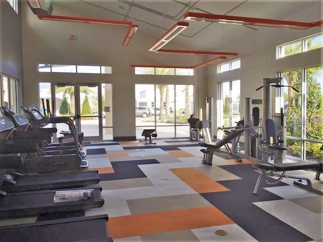 exercise room featuring a towering ceiling and plenty of natural light