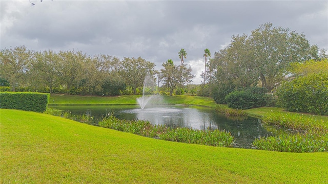 view of water feature