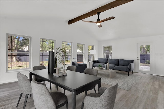 dining area featuring high vaulted ceiling, beamed ceiling, light wood-type flooring, and ceiling fan