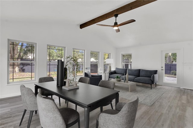 245 W George Ave, Maitland, FL 32751 - dining space with beam ceiling, healthy amount of natural light, wood finished floors, ceiling fan, and high vaulted ceiling