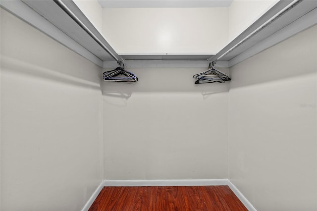 spacious closet featuring hardwood / wood-style flooring