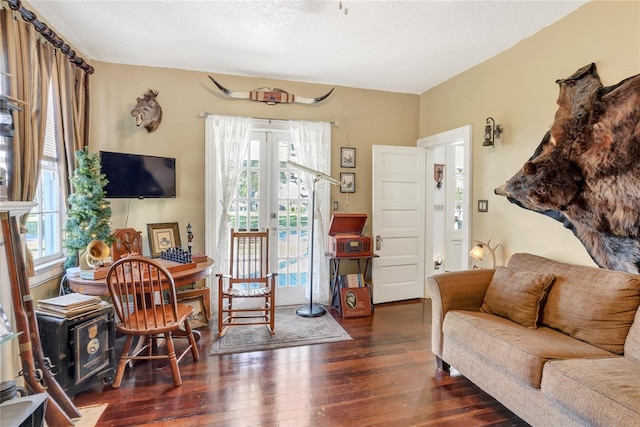 living room featuring dark wood-type flooring and a wealth of natural light