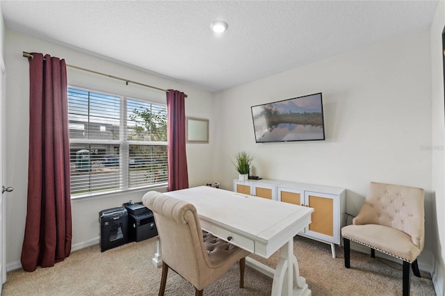 carpeted office space with a textured ceiling