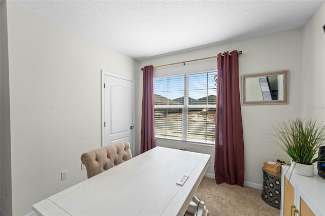 home office featuring light colored carpet and a textured ceiling