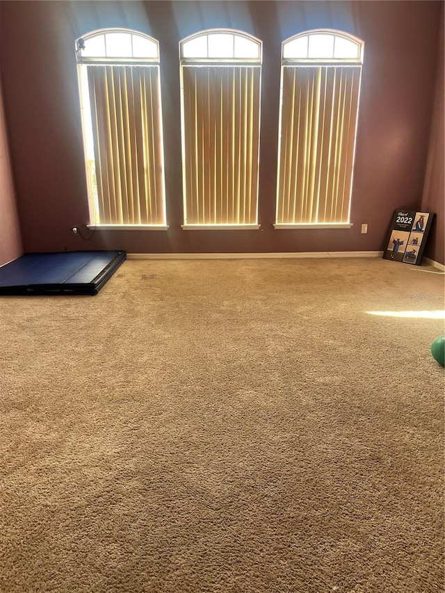 spare room featuring carpet floors