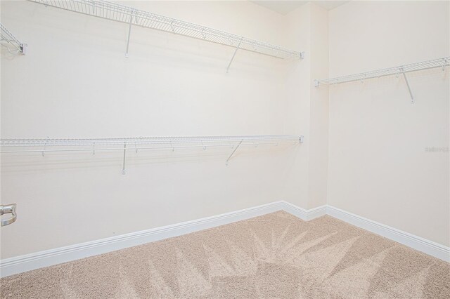 spacious closet with carpet flooring