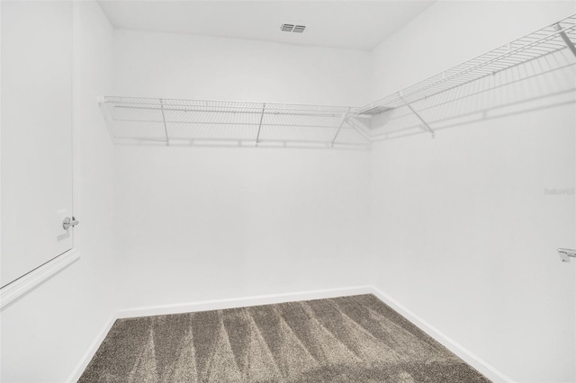 spacious closet featuring carpet flooring