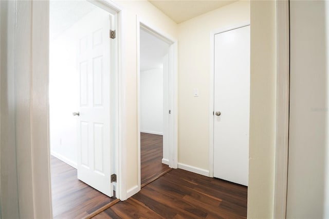 corridor featuring dark hardwood / wood-style floors