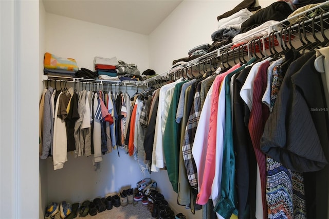 spacious closet with carpet flooring