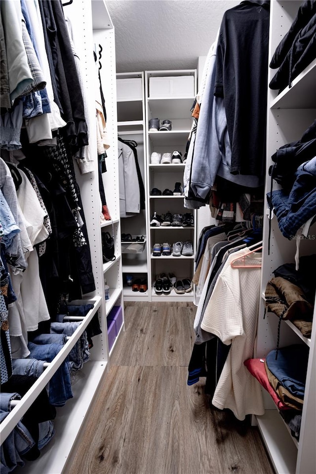 spacious closet with wood-type flooring