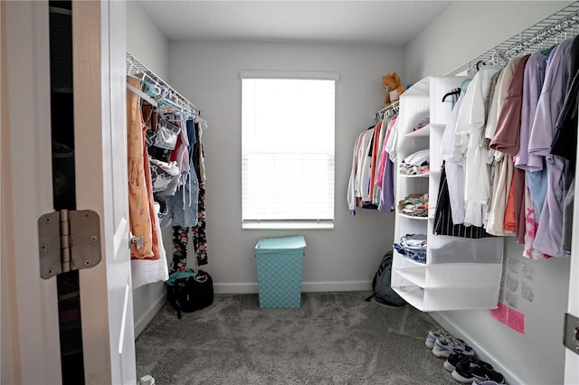 walk in closet featuring carpet floors