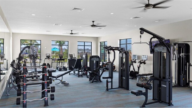 exercise room featuring carpet floors and ceiling fan