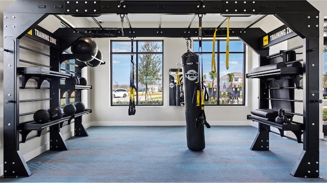 exercise room featuring carpet floors