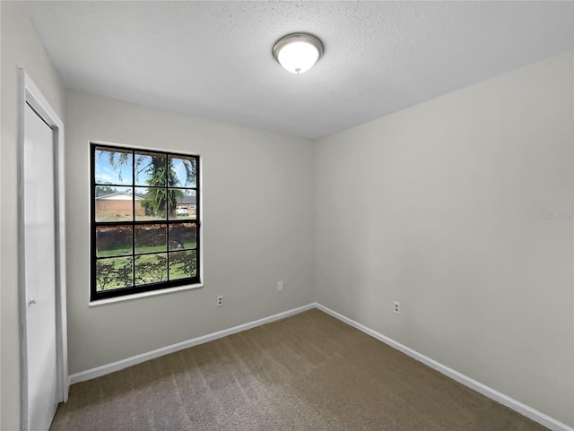 empty room featuring a textured ceiling and carpet flooring