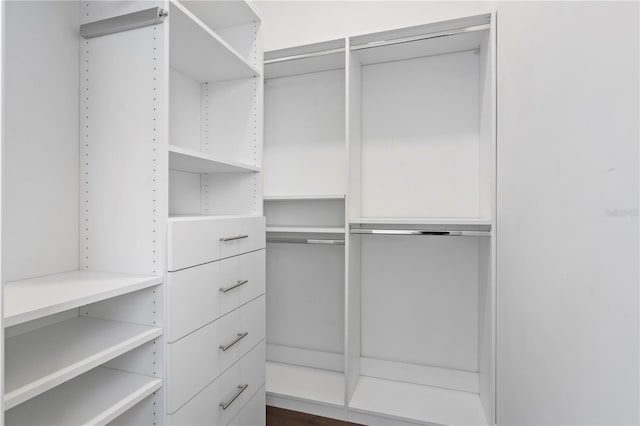 view of walk in closet