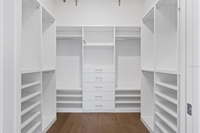 walk in closet with dark wood-type flooring