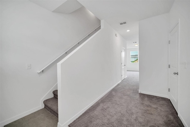 staircase with carpet floors