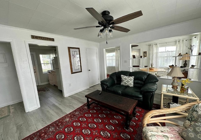 living room with light wood-type flooring, a wealth of natural light, ceiling fan, and crown molding