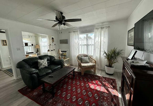 living room with ceiling fan, crown molding, and light hardwood / wood-style flooring