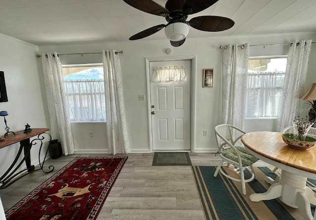 entrance foyer with light hardwood / wood-style floors, a healthy amount of sunlight, crown molding, and ceiling fan