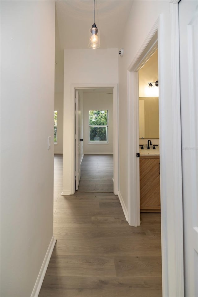 hall featuring hardwood / wood-style floors and sink