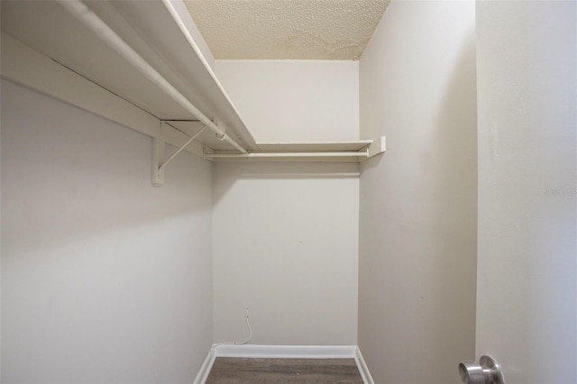 spacious closet with wood-type flooring